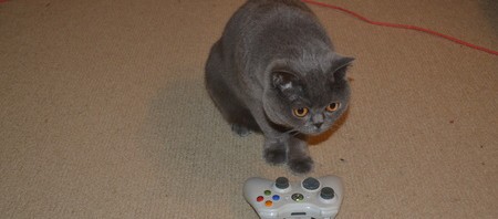 Paddy playing xbox